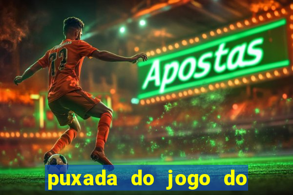 puxada do jogo do bicho da sueli